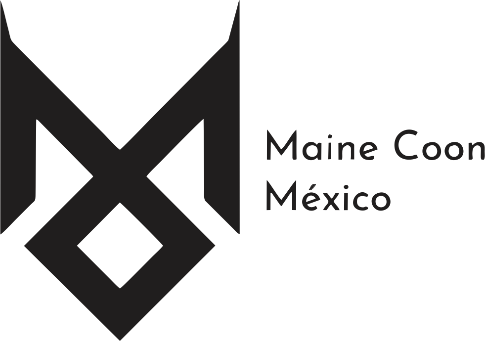 Club Maine Coon Mexico